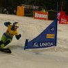 CW Fotos Snowboard Worldcup Jauerling 2012 049